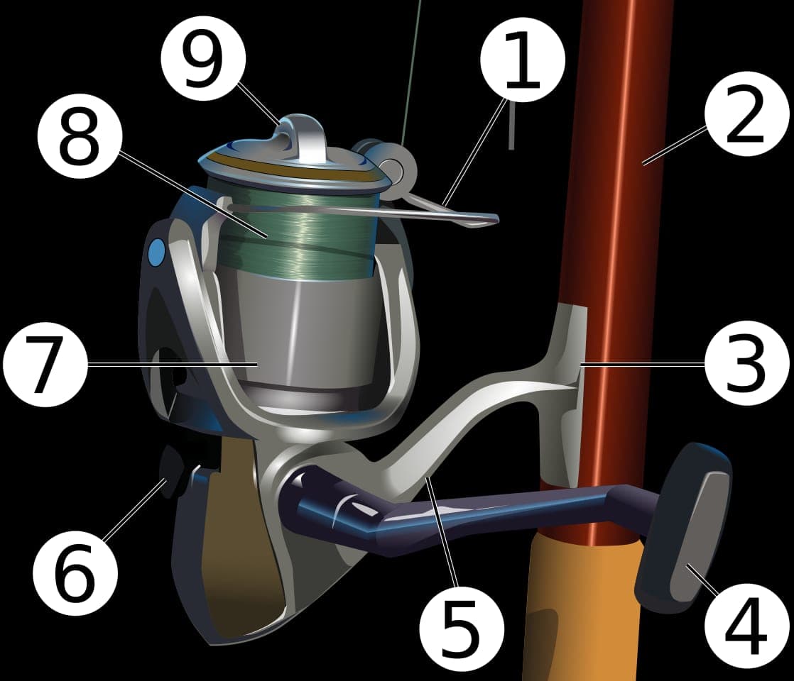 A fishing reel loaded with line