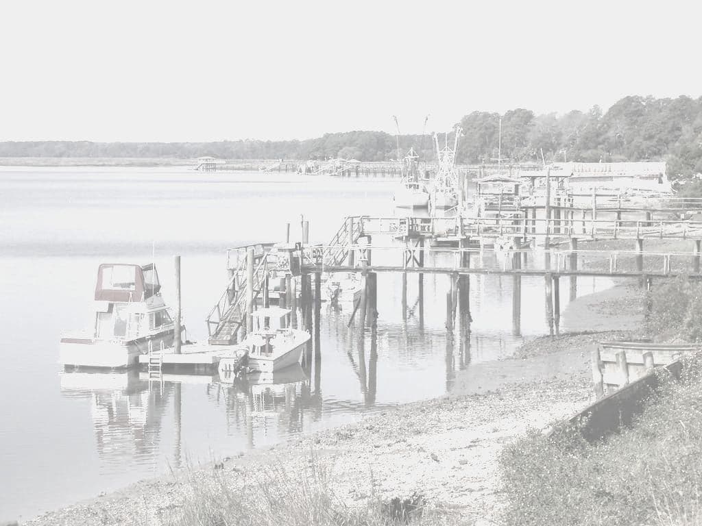 Fishing docks reaching out over a river