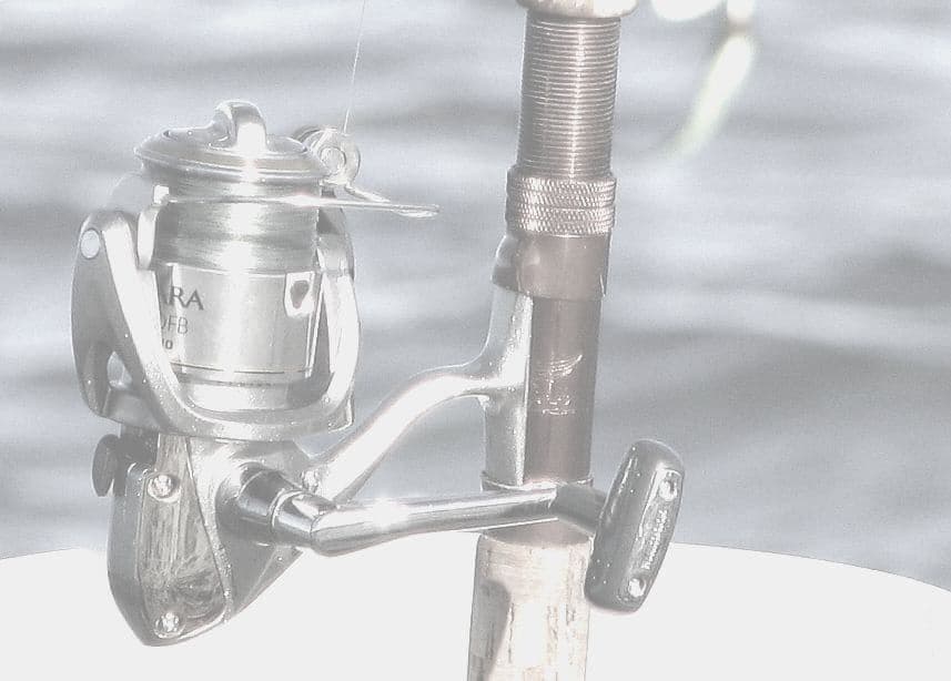 A fishing reel mounted on a rod