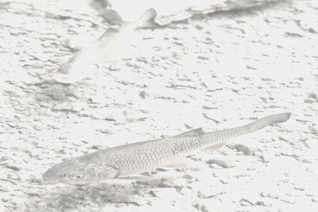A fishing rod set up beside open water